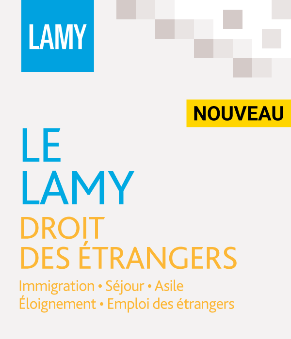 Le Lamy droit des étrangers